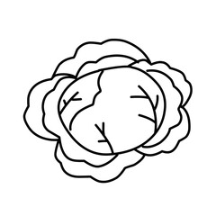 hand drawn vegetable doodles