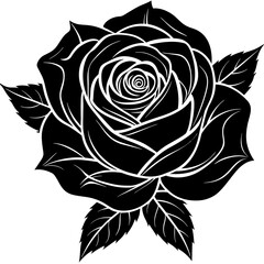 black and white rose
