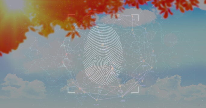 Image of connections over fingerprint scanning over sky and foliage, copy space