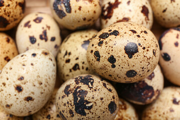 Fototapeta premium Texture of fresh quail eggs as background