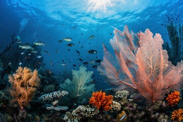Obraz premium Tropical underwater paradise colorful coral reefs, fish, sunbeams, ocean life and beauty in nature