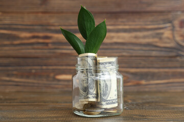 Plant growing from glass jar with dollar banknotes and coins on wooden background, closeup