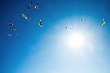 Obraz premium birds in the sky