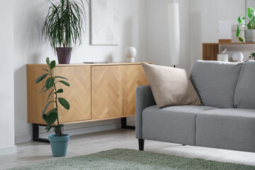 Interior of light living room with sofa, drawers and plants