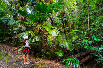 long-haired girl stands under fan palms in tropical daintree rainforest; hiking through jungle in queensland