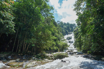 Obraz premium 山の中を勢いよく流れる木々に挟まれた川の風景