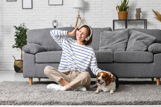 Young woman in headphones with cute Beagle dog sitting on floor near sofa at home
