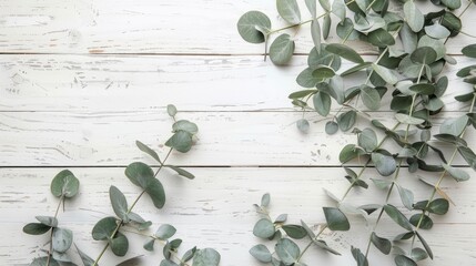 Eucalyptus branches and leaves on wooden rustic white background. Minimal background eucalyptus on white board. Flat lay, top view, copy space, generative ai