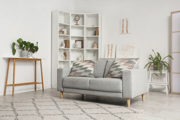 Interior of light living room with sofa, shelf unit and paintings