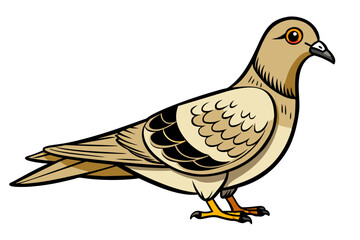 Pigeon different style vector illustration line art