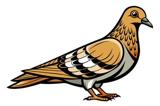 brown pigeon bird side view clip art preview