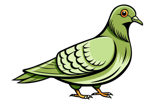 recommend clip art: Pigeon different style vector illustration line art