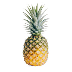 Fototapeta premium A large pineapple sits on a white background