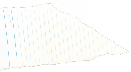 Obraz premium Torn ripped paper sheets