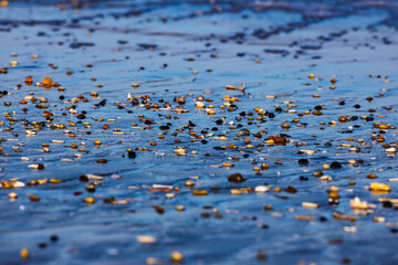 Pebbles and shells on sand with ocean water. Seashore, family vacation spot. Relaxation, meditative.