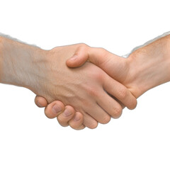 Two hands shaking in a handshake