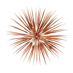 A firework is exploding in the air, with its bright orange and white colors