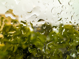 Rain drops on a window