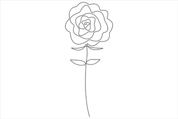 Rose flower continuous one line art drawing of outline vector illustration Rose day, valentine day concept
