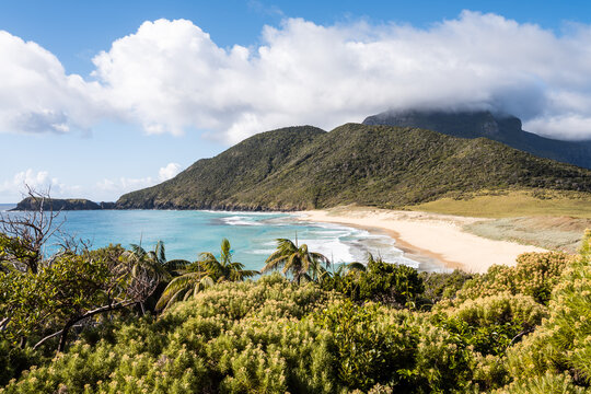 Desert beach on a remote island, Lord Howe Island, Australia
