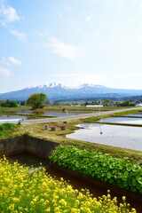 遊佐町から鳥海山の眺望（山形県）