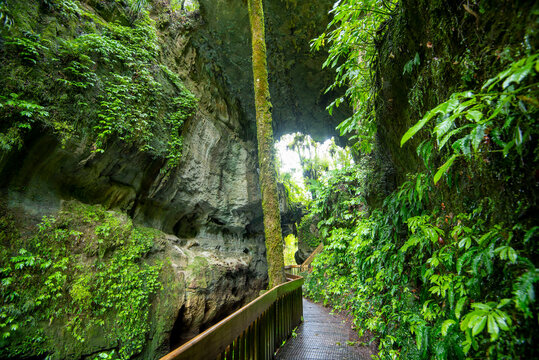 Mangapohue Natural Bridge - New Zealand