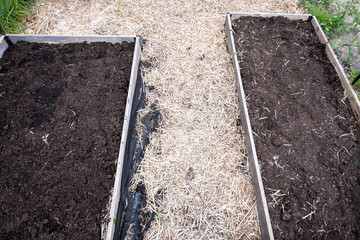 Vegetable garden raised beds ready for spring planting, straw covered walkways in between
