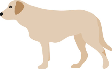 Labrador Retriever Dog Minimal Flat Vector Illustration