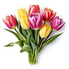 Obraz premium beautiful tulip Flower bouquet for wedding, isolated on white background