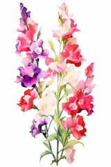 snapdragon themed frame or border for photos . with tall spikes of colorful blooms. watercolor illustration, white color background.