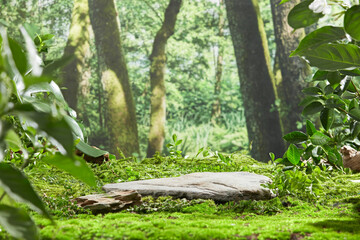 Natural green forest scene photograph with a blank flat stone platform in center for showing product, both sides decorated with green branches. Front view and empty space for advertising