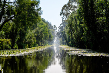 Quiet canal in Xochimilco in the morning