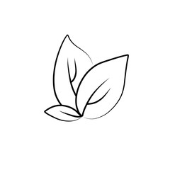 Leaf icon