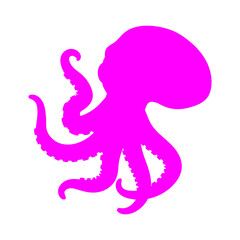 Hand Drawn Octopus Colorful