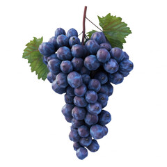 Fototapeta premium Bunch of fresh blue grapes with green leaves on vine, isolated on white background. Perfect for food, nature, and wine-related stock photos.