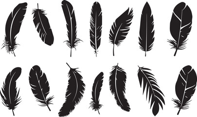 feather seamless pattern © Jani Vector images