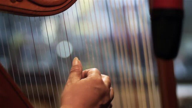 Musician Playing Paraguayan Harp in Recording Studio, Traditional Folk Music, 4K