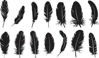 feather seamless pattern