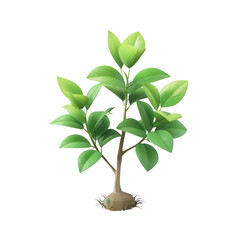 Close-up of a young green plant with vibrant leaves, showcasing natural growth and greenery. Perfect for eco-friendly and nature concepts.