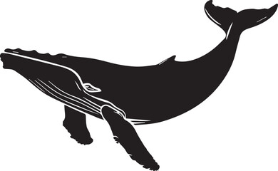 Obraz premium silhouette of a whale