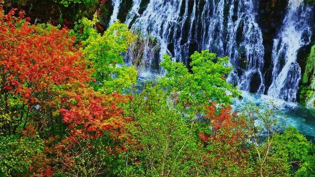 紅葉の白ひげの滝