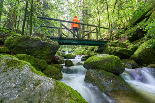 A person in an orange jacket stands on a bridge over a waterfall, surrounded by lush greenery and moss-covered rocks. Europe, Germany, Black Forest, Buhlertal, Gertelbach.