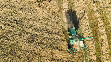 Harvester machine working in field aerial view from above, combine harvester agriculture machine harvesting ripe wheat field