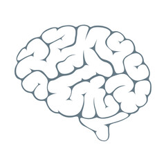 Isolated image of brain silhouette on white background