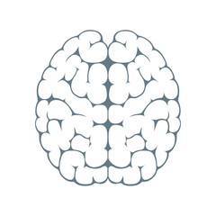 Isolated image of brain silhouette on white view from above