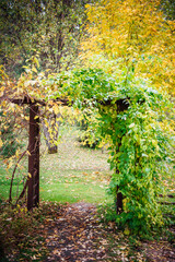 Decorative wooden arch in the autumn garden, covered with thick green and yellow foliage and twigs. The concept of a road to nature, a beautiful autumn background