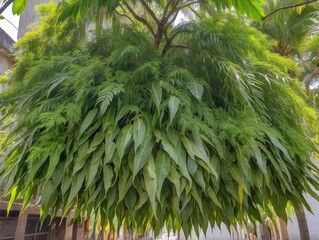 green tree