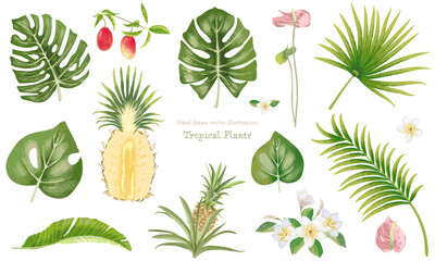いろんな熱帯植物の素材セット
