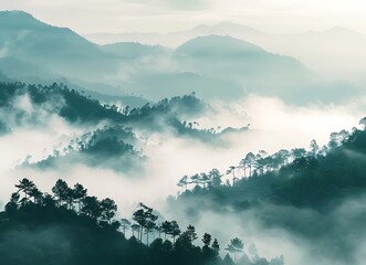 Mist in the morning at HKeys, Vietnam forest and mountain landscape