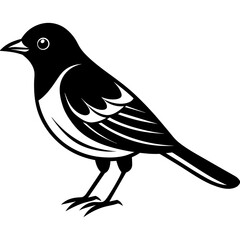 Bird black vector style silhouette illustration on white background.